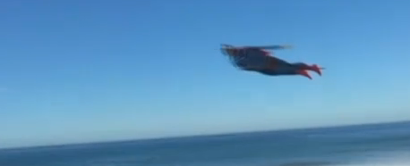 http://edition.cnn.com/video/?hpt=hp_c5#/video/us/2013/01/03/tsr-moos-flying-superman.cnn