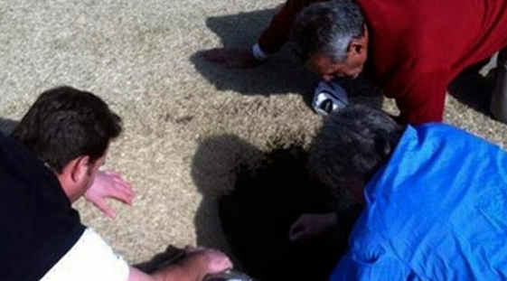 http://abcnews.go.com/blogs/headlines/2013/03/golfer-swallowed-by-sinkhole/