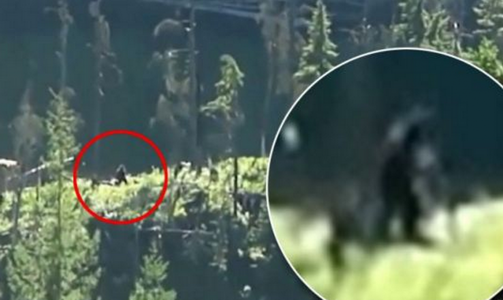 http://www.dailymail.co.uk/news/article-2380787/Hiking-couple-claim-new-footage-shows-Bigfoot-walk-wilds-Canada.html