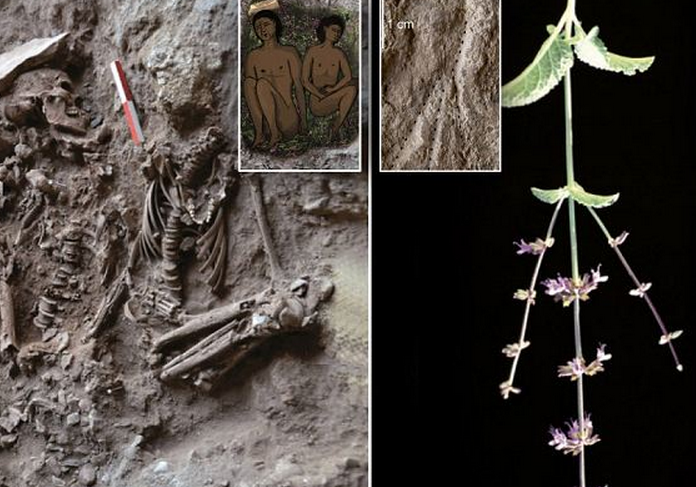 http://www.dailymail.co.uk/sciencetech/article-2353484/Scientists-discover-oldest-grave-flowers-14-000-years-ago--dead-buried-mint-sage.html
