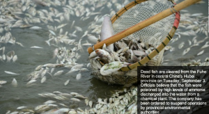 http://edition.cnn.com/2013/09/05/world/asia/china-river-dead-fish/index.html?hpt=wo_c2