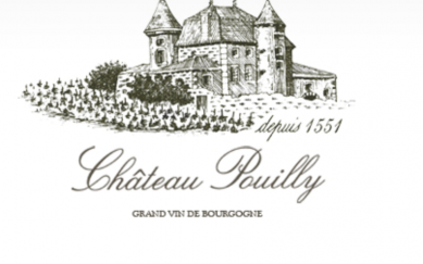 http://www.chateaupouilly.fr/eng/index_eng.htm
