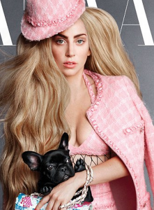 http://www.dailymail.co.uk/tvshowbiz/article-2712471/Its-dogs-life-Lady-Gaga-poses-pup-Asia-cover-Harpers-Bazaar-features-Penelope-Cruz-Linda-Evangelista.html