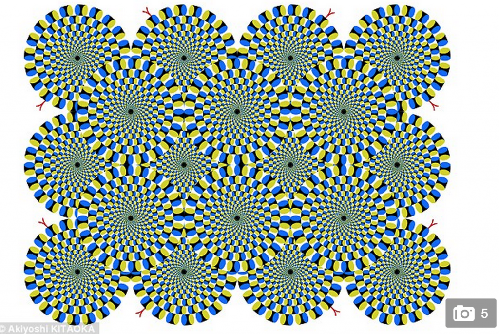 http://www.dailymail.co.uk/sciencetech/article-2940037/The-optical-illusions-trick-FISH-Mind-bending-patterns-reveal-similarities-human-aquatic-brains.html
