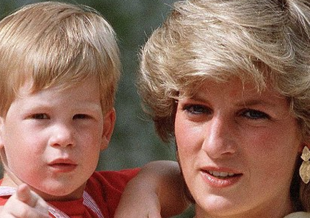 http://www.dailymail.co.uk/news/article-3007014/Prince-Harry-left-Army-honour-mother-s-memory.html