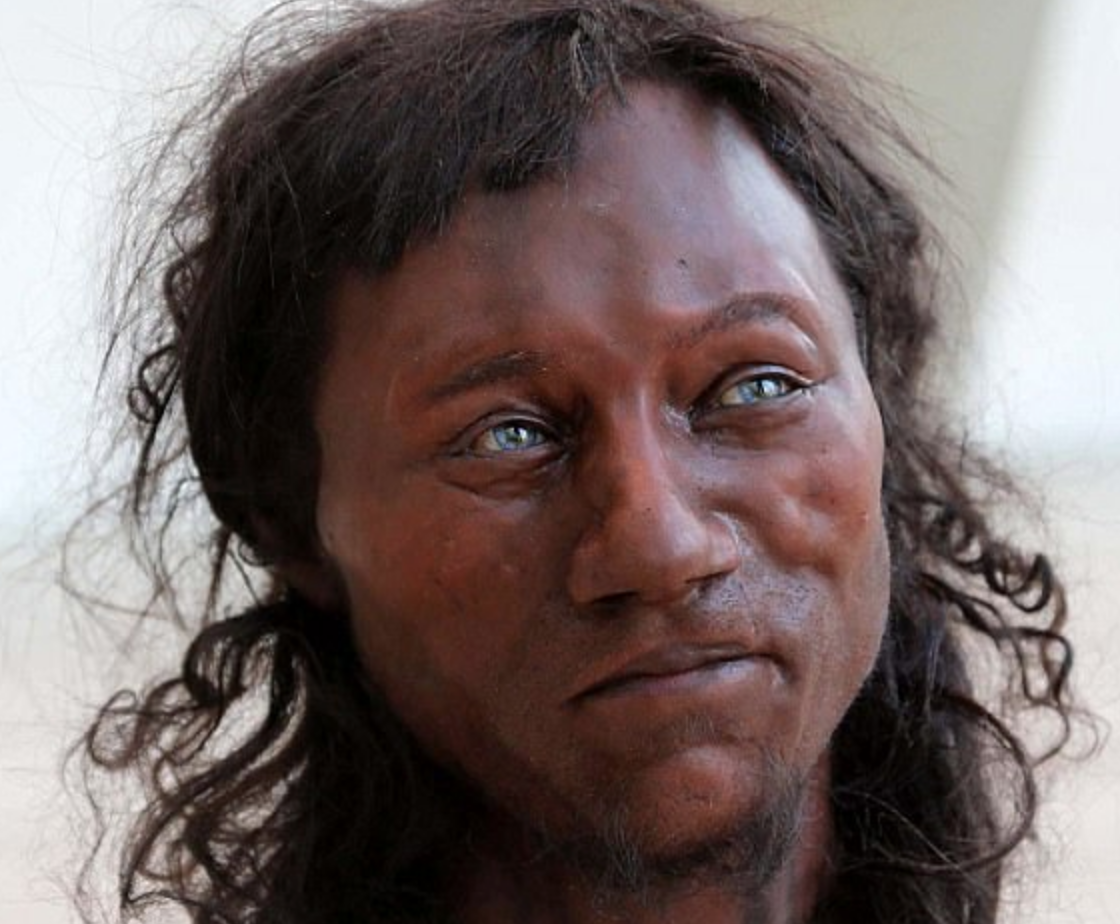 1万年前のイギリス人は暗い肌 黒髪だったことが判明 Maash